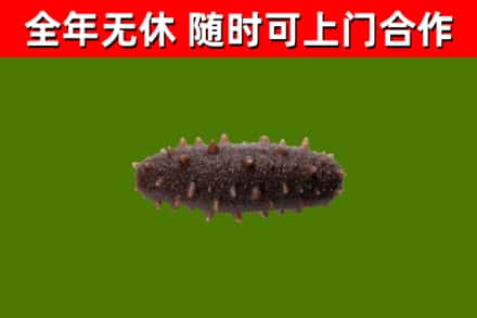 图木舒克市烟酒回收干海参.jpg
